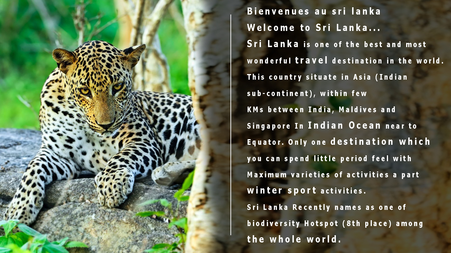 Chauffeur Guide Francophone Srilanka